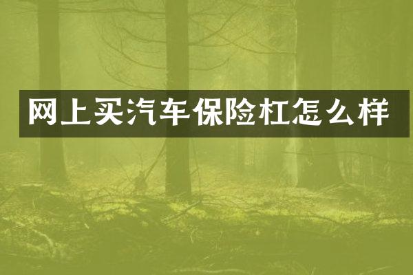 网上买汽车保险杠怎么样