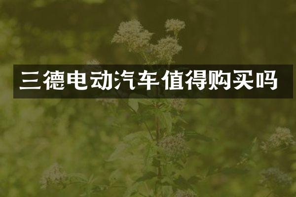 三德电动汽车值得购买吗