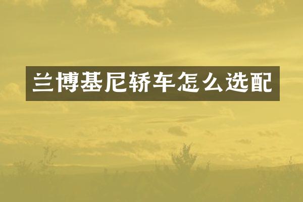 兰博基尼轿车怎么选配