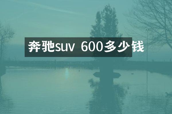 奔驰suv 600多少钱