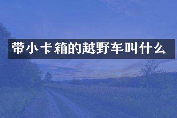 带小卡箱的越野车叫什么