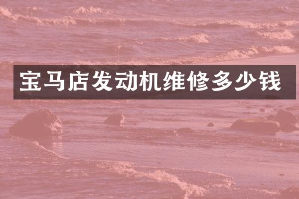 宝马店发动机维修多少钱