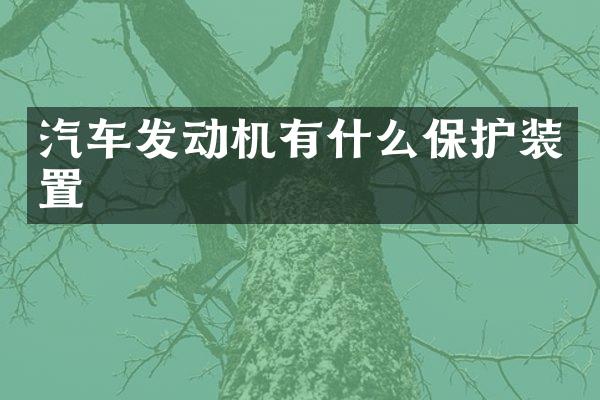 汽车发动机有什么保护装置