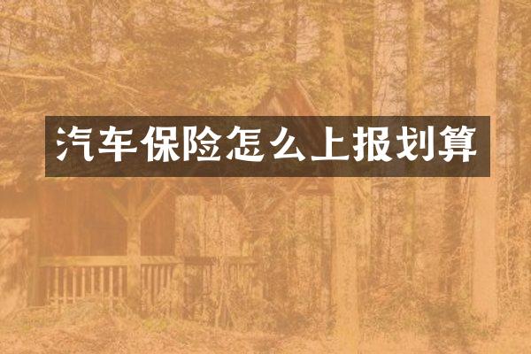 汽车保险怎么上报划算