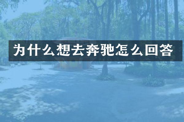 为什么想去奔驰怎么回答