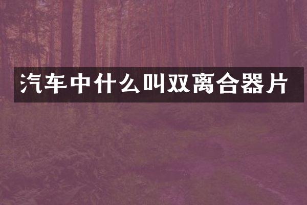 汽车中什么叫双离合器片