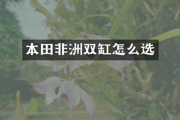 本田非洲双缸怎么选