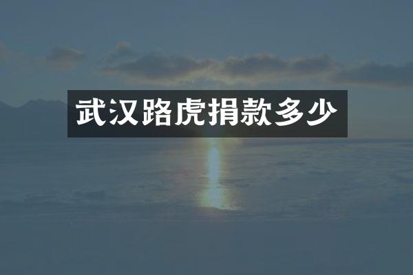 武汉路虎捐款多少