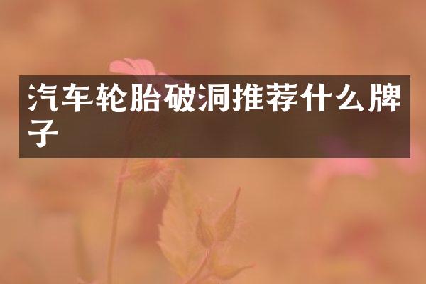 汽车轮胎破洞推荐什么牌子