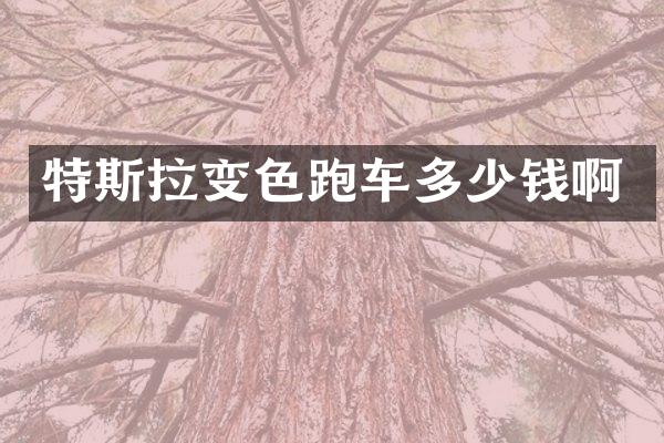 特斯拉变色跑车多少钱啊