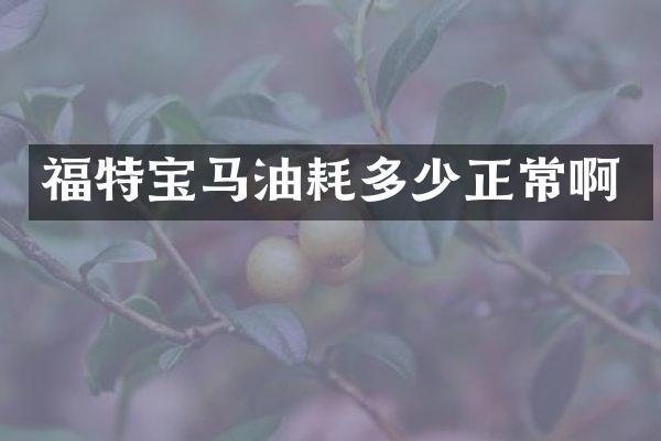 福特宝马油耗多少正常啊