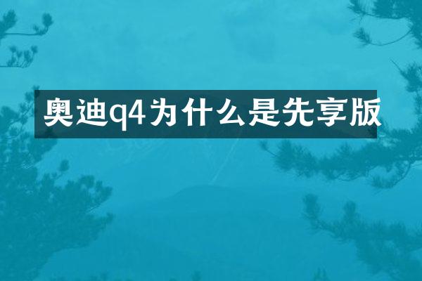奥迪q4为什么是先享版