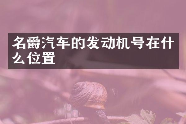名爵汽车的发动机号在什么位置