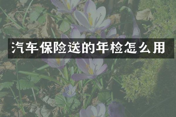 汽车保险送的年检怎么用