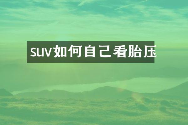 suv如何自己看胎压