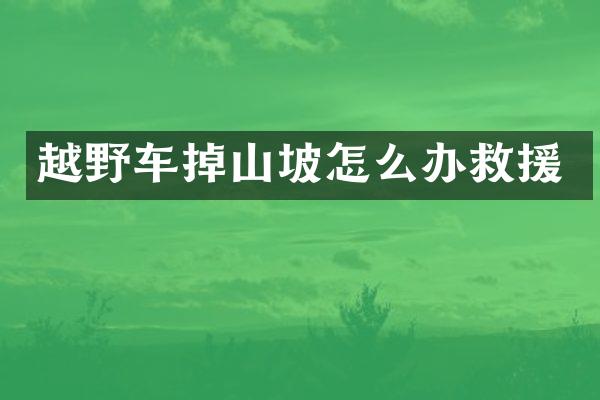 越野车掉山坡怎么办救援