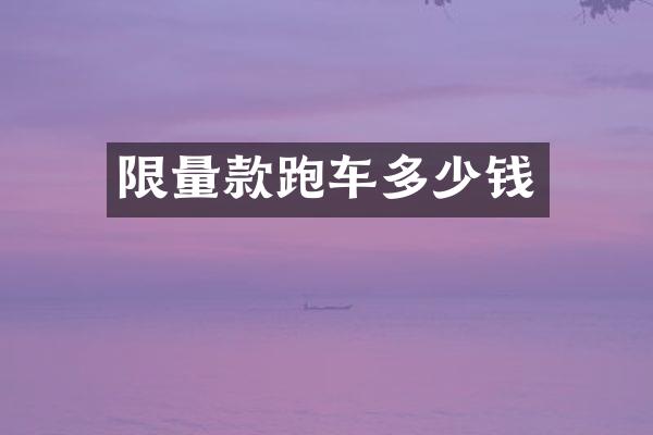 限量款跑车多少钱