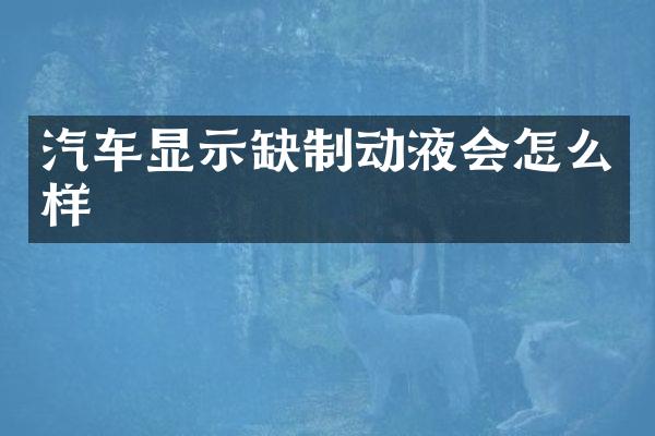 汽车显示缺制动液会怎么样