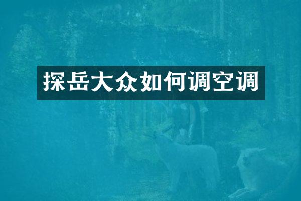 探岳大众如何调空调