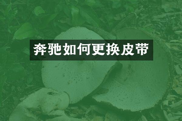 奔驰如何更换皮带