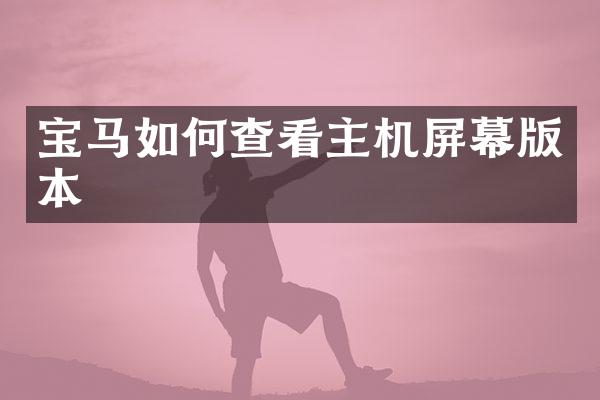 宝马如何查看主机屏幕版本