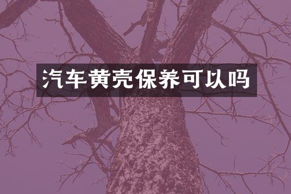 汽车黄壳保养可以吗