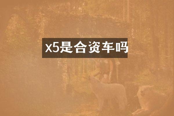 x5是合资车吗