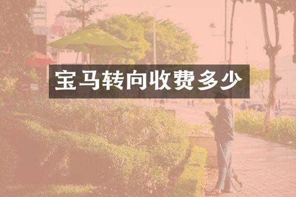 宝马转向收费多少