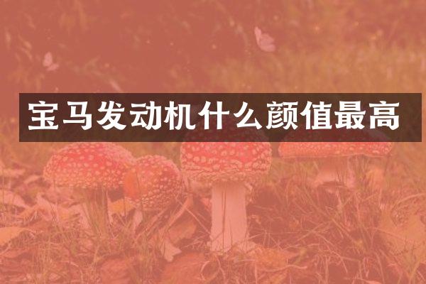 宝马发动机什么颜值最高