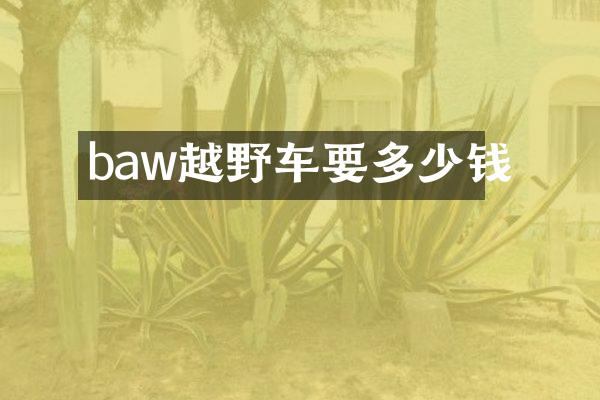 baw越野车要多少钱