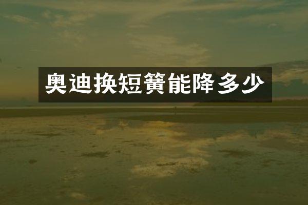 奥迪换短簧能降多少