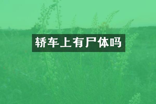 轿车上有尸体吗