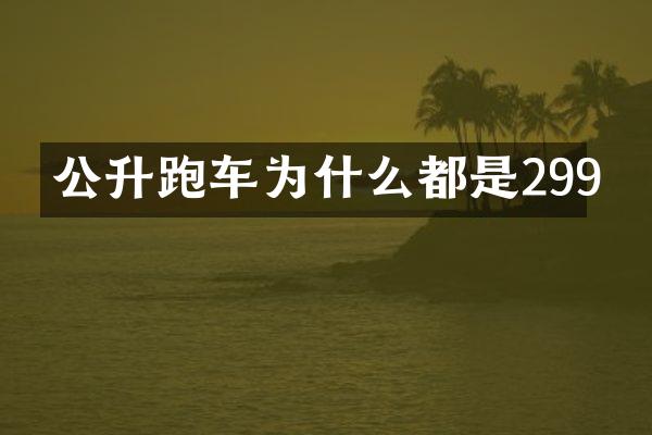 公升跑车为什么都是299
