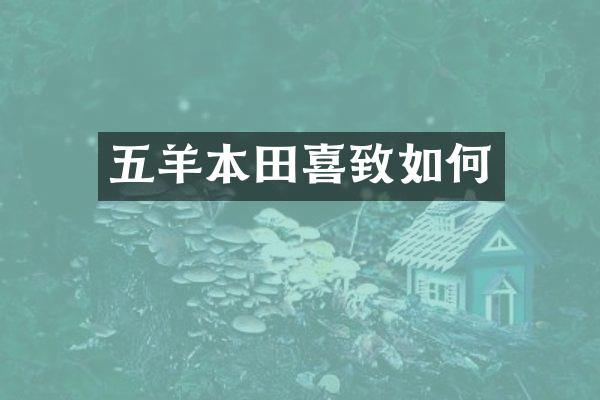 五羊本田喜致如何