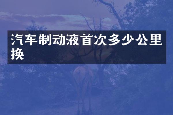 汽车制动液首次多少公里换