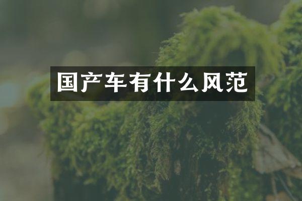 国产车有什么风范