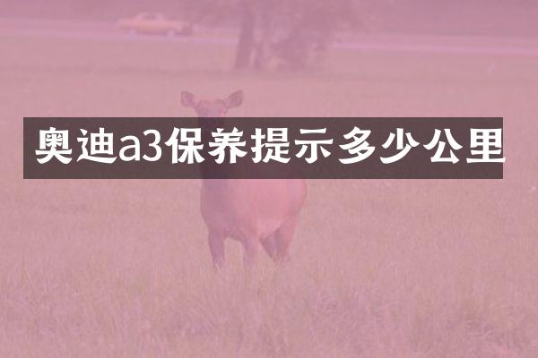 奥迪a3保养提示多少公里
