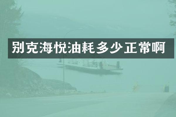 别克海悦油耗多少正常啊