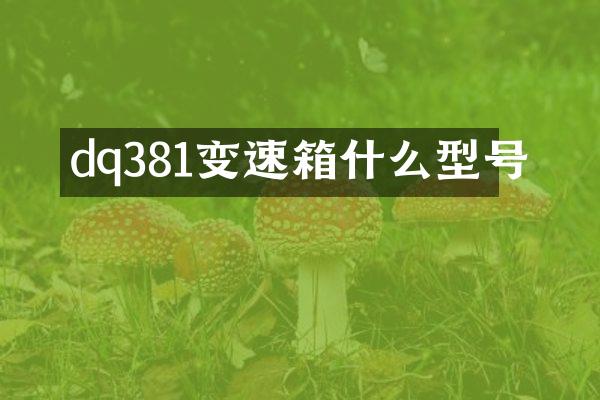 dq381变速箱什么型号