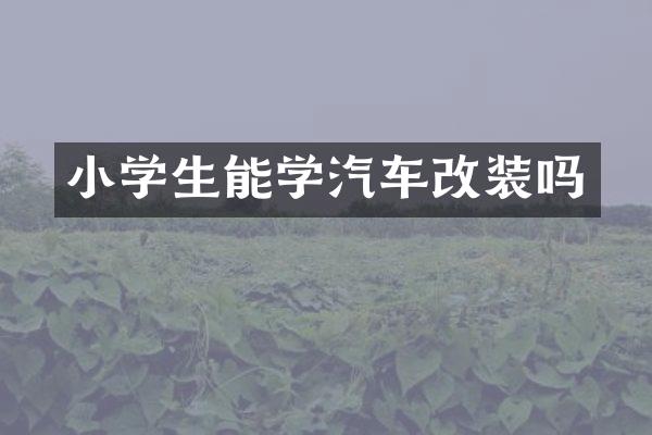 小学生能学汽车改装吗
