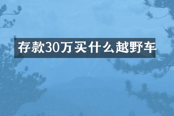 存款30万买什么越野车