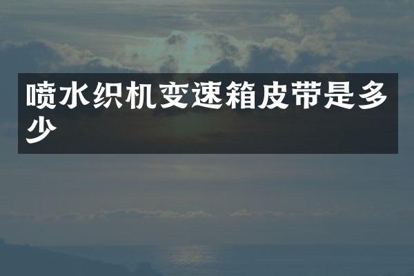 喷水织机变速箱皮带是多少