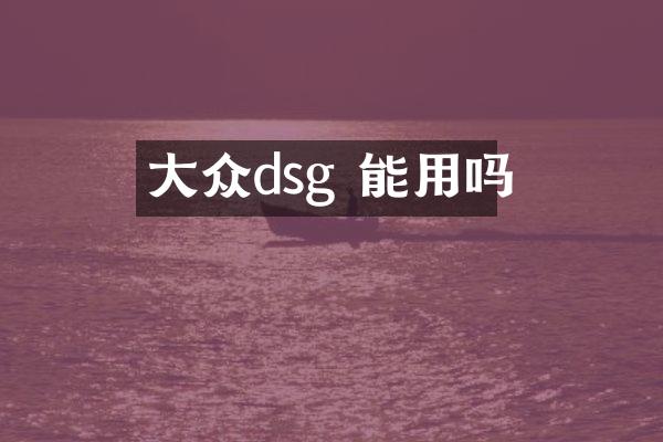 大众dsg 能用吗