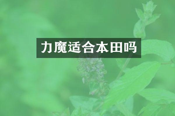 力魔适合本田吗