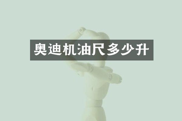 奥迪机油尺多少升