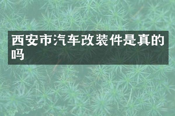 西安市汽车改装件是真的吗