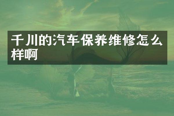 千川的汽车保养维修怎么样啊