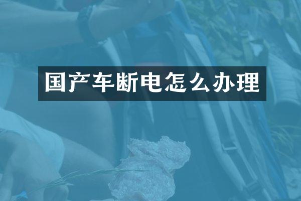 国产车断电怎么办理