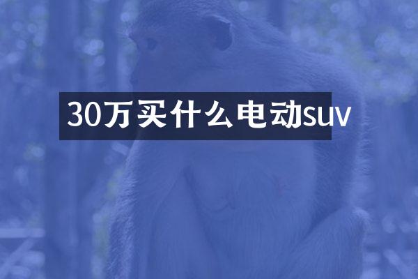 30万买什么电动suv