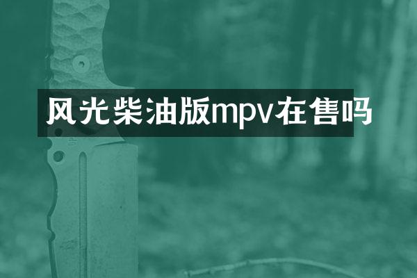 风光柴油版mpv在售吗